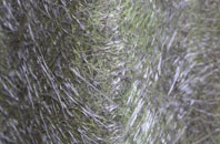 Westlands fibreglass roof work